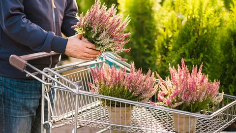 Al via domande per “Contributo sostegno promozione Centri Commerciali Naturali (CCN) della Sardegna”